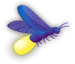 Firefly_Dropshadow