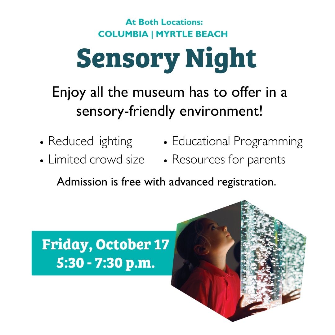 Sensory Night